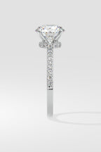 2 ct Secret Halo Ring